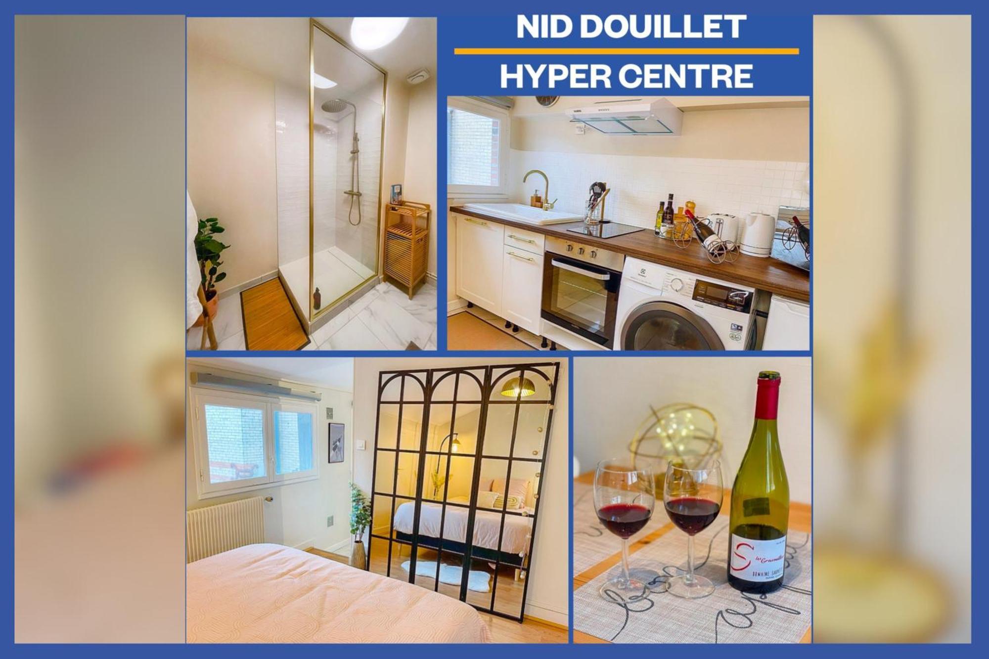 Appartement Magnifique Cocon Calme Et Moderne En Hypercentre Blois
